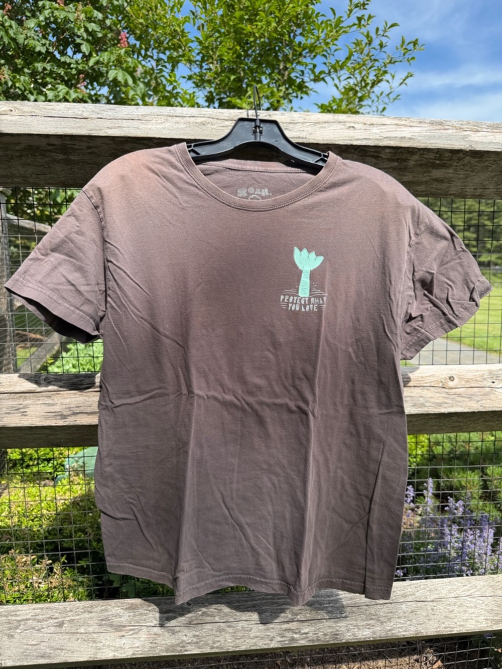 Roar Brown Short-Sleeve Graphic Tee with Mint Green Plant